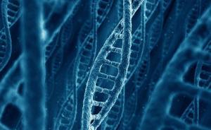 科學(xué)家調(diào)查了100萬人發(fā)現(xiàn)：基因變異影響你接受教育程度