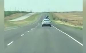 神操作！美國囚犯爬警車車頂欲逃跑
