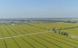 辽宁事业单位改革：省现代农业生产基地建设工程中心等挂牌