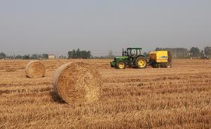 露天烧秸秆最高罚两千，河北省审议通过新规定8月1日起实施