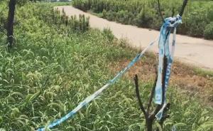 腦癱女童遭至親溺亡事件還原：父親與爺爺如何共謀