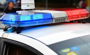 涉文物犯罪A级通缉令逃犯刘邦强自首：涉盗窃文管所抢劫寺庙