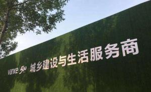 评论：乡镇基层政府切莫变成同地产商人分利的政策代言人