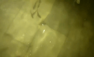 印度洪災超500人遇難，醫院進水變魚塘