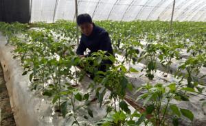 全村聯(lián)名信留下好書記:青海省城上村第一書記劉貴明這三年