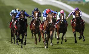 海南“賽馬熱”：多個項目欲“上馬”，官方稱屬“企業(yè)行為”