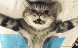 婆媳因瑣事經(jīng)常爭吵，遼寧男子左右為難提刀架脖“以死相逼”