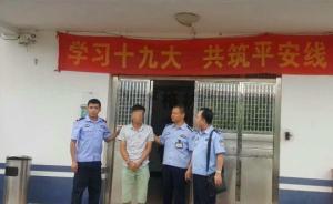 廣西一男子涉特重大濫伐林木案，仿“光頭強(qiáng)”山上野炊安營