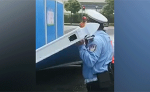 臺風吹倒樹，上海寶山民警“頂風”抬樹