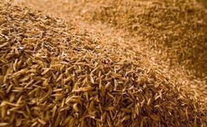 我國率先用稻殼制備高性能鉛炭電池，循環(huán)壽命提高6倍