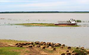 媒体：水质逐年恶化，水库拦蓄截断，辽河只剩“半条命”