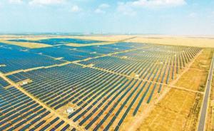 形成合力，推動(dòng)綠富同興