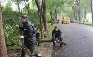 2分半鐘看臺(tái)風(fēng)給上海帶來(lái)的疾風(fēng)驟雨