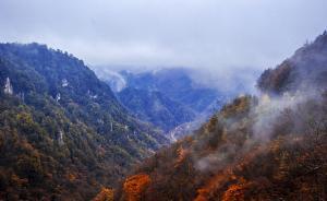 湖北省政府批準紅安縣、神農(nóng)架林區(qū)、遠安縣退出貧困縣