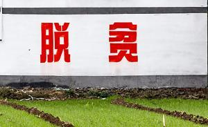 結(jié)對幫扶4年，邯鄲市委書記的“窮親戚”已帶動村民建大棚