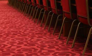 广西政府调整领导工作分工：严植婵分管自治区国土资源厅等