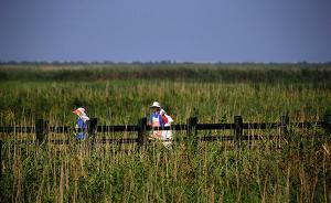 大江奔流︱上海崇明：鑲嵌在長江經(jīng)濟帶的“海上明珠”
