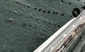 山東一客船遭遇突風(fēng)進(jìn)養(yǎng)殖區(qū)、螺旋槳被纏，269名乘客被困