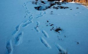 29岁华人女子在意大利登雪山死亡多日被发现，警方调查