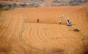 二十亿亩耕地一半是“望天田” ，专家：大力推广节水灌溉