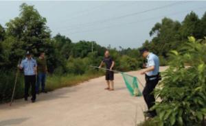 十天兩狗傷人，四川宜賓一鎮(zhèn)黨委書(shū)記帶隊(duì)捕殺無(wú)主犬