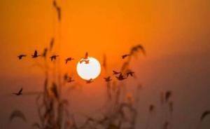 为追“全能神”，山东一女子撇弃子女两度出走至今无音讯