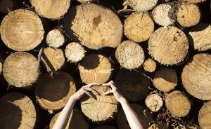 學(xué)者：與環(huán)境退化相關(guān)產(chǎn)業(yè)，正大肆利用“避稅天堂”的保密性