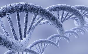 中国科学家颠覆“长寿基因”认知，提出人类胎儿期死亡新解释