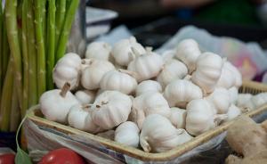蒜价持续低迷后市仍难看好，倒春寒致蒜苗价格坚挺