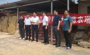 河北大名縣大蒜滯銷，鄰縣涉縣伸出援手一次性購入50噸