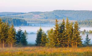 塞罕坝林场达成首笔碳汇交易，林业生态产品正式实现市场化