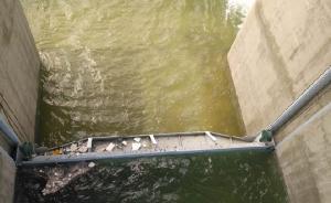 潍坊泄洪水库负责人：一旦垮坝百万人将遭灭顶，水库不容有失