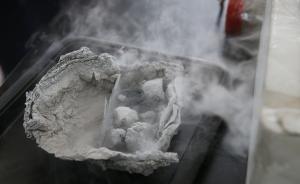 地質(zhì)調(diào)查局副局長：中國有望率先實(shí)現(xiàn)天然氣水合物產(chǎn)業(yè)化生產(chǎn)