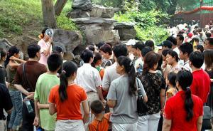 北京4万余名导游信用档案可线上查询，旅行社等信用一并公示