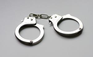 獸藥巨頭泰瑞制藥老總涉污染環(huán)境罪被批捕，此前三官員被免職
