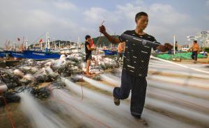 浙江漁場總資源密度增加，漁民收入同步提高